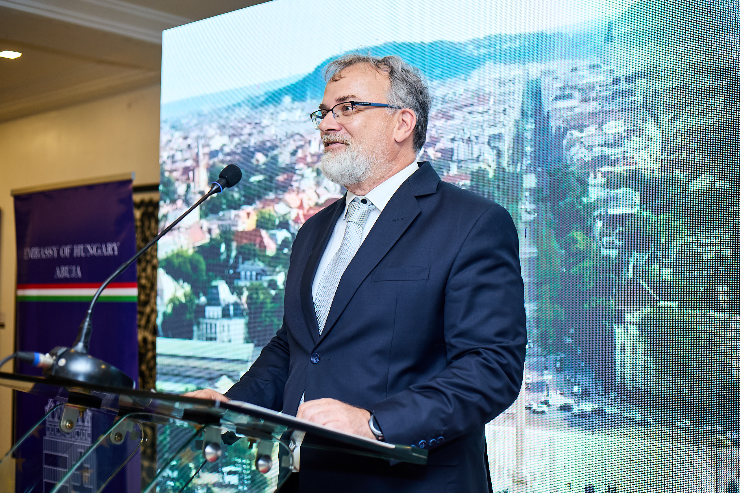 Nemzeti ünnepi fogadás